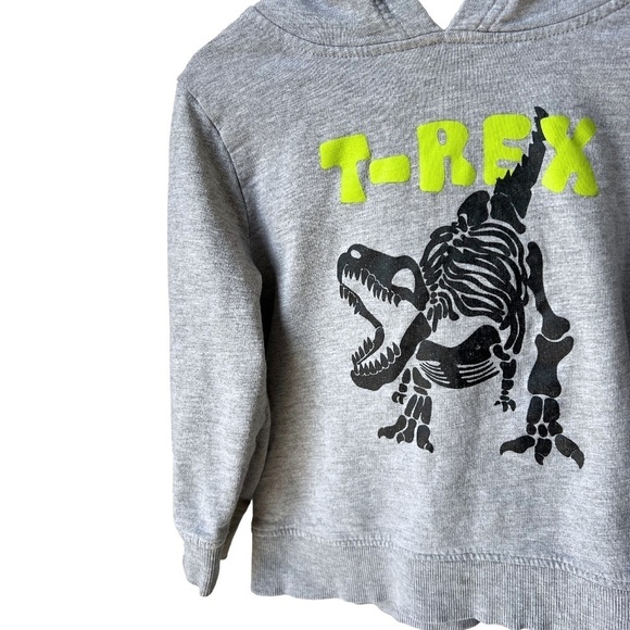 3/$15  2T Monkey Bars Hoodie - Picture 2 of 4